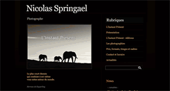 Desktop Screenshot of nicolasspringael.be
