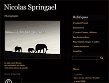 Tablet Screenshot of nicolasspringael.be